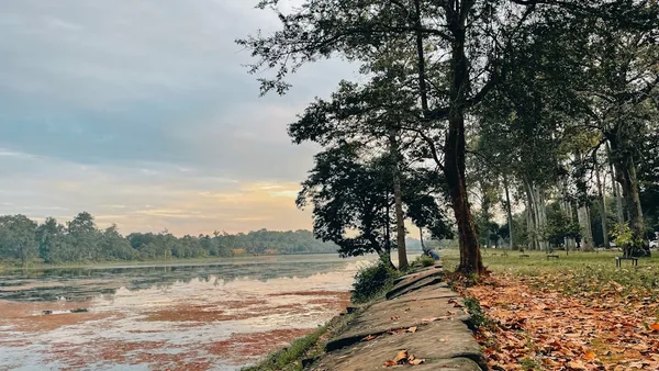 a fallen leaf covered path next to a body of water