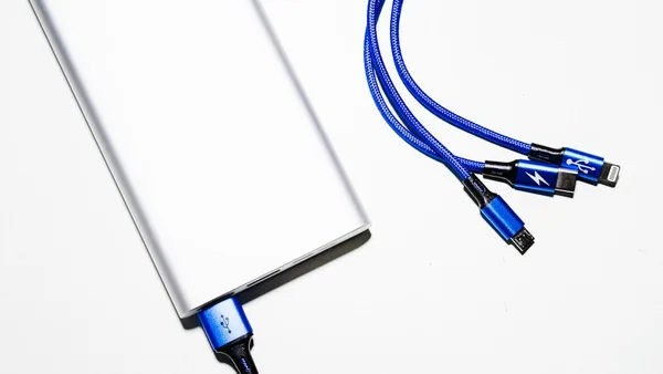 white and blue coated wires