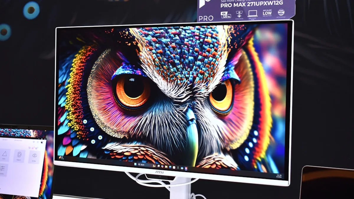 A vibrant, colorful owl artwork displayed on a modern monitor.