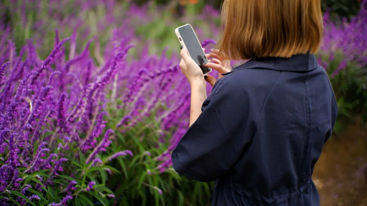 a woman standing in a field of purple flowers looking at a cell phone