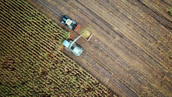 two trucks on plant field
