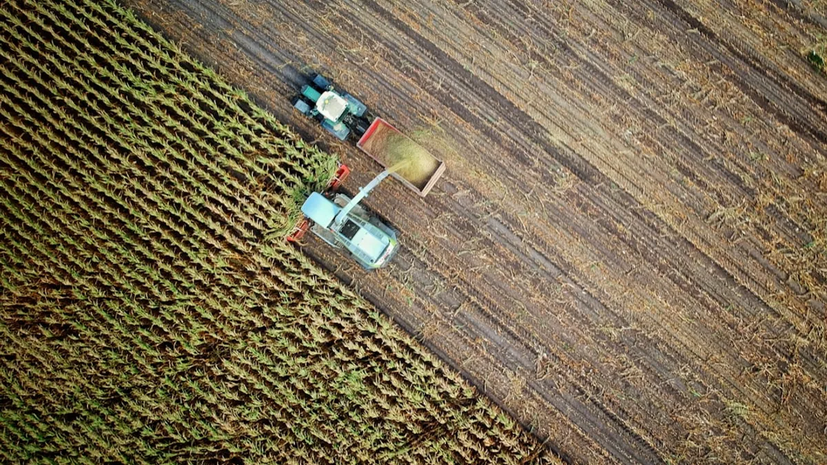 two trucks on plant field