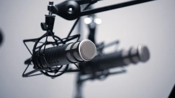 black and grey condenser microphone