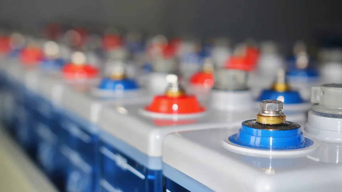 Rows of batteries with red and blue terminals.