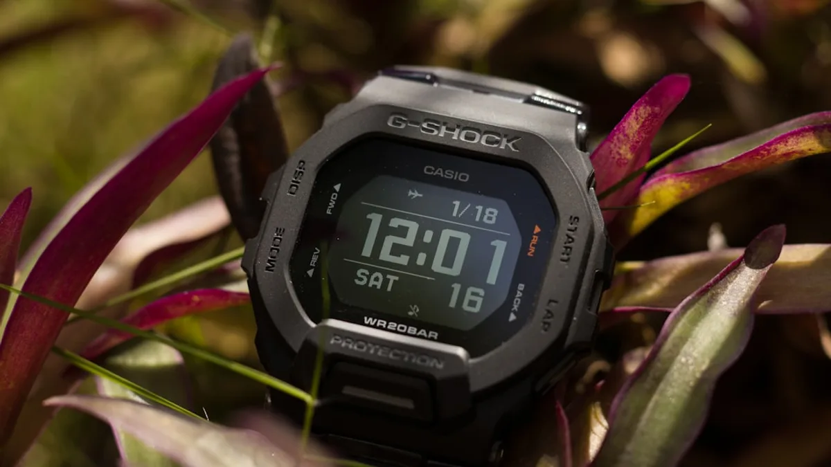A close up of a watch on a plant
