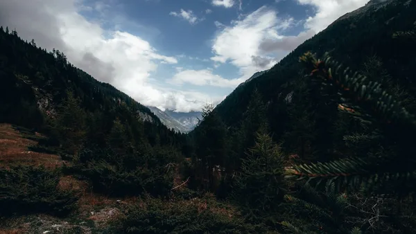 a view of a mountain range with trees in the foreground