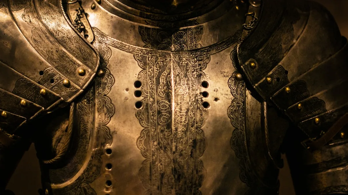 gray stainless steel armor