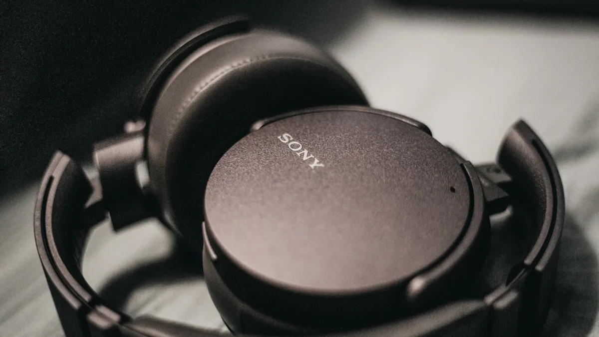 black and silver sony headphones