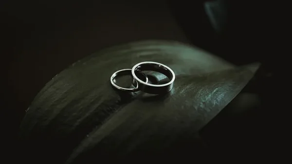 silver-colored rings