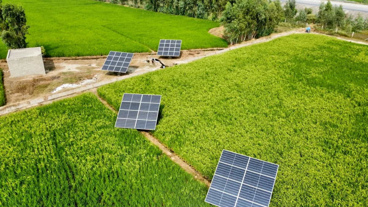 solar panels on a field